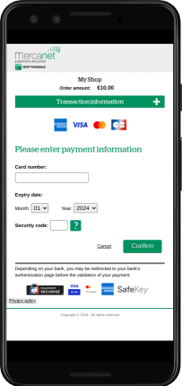 Payment data entry page 