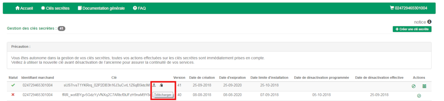 Capture d'écran montrant l'icône "téléchargement".