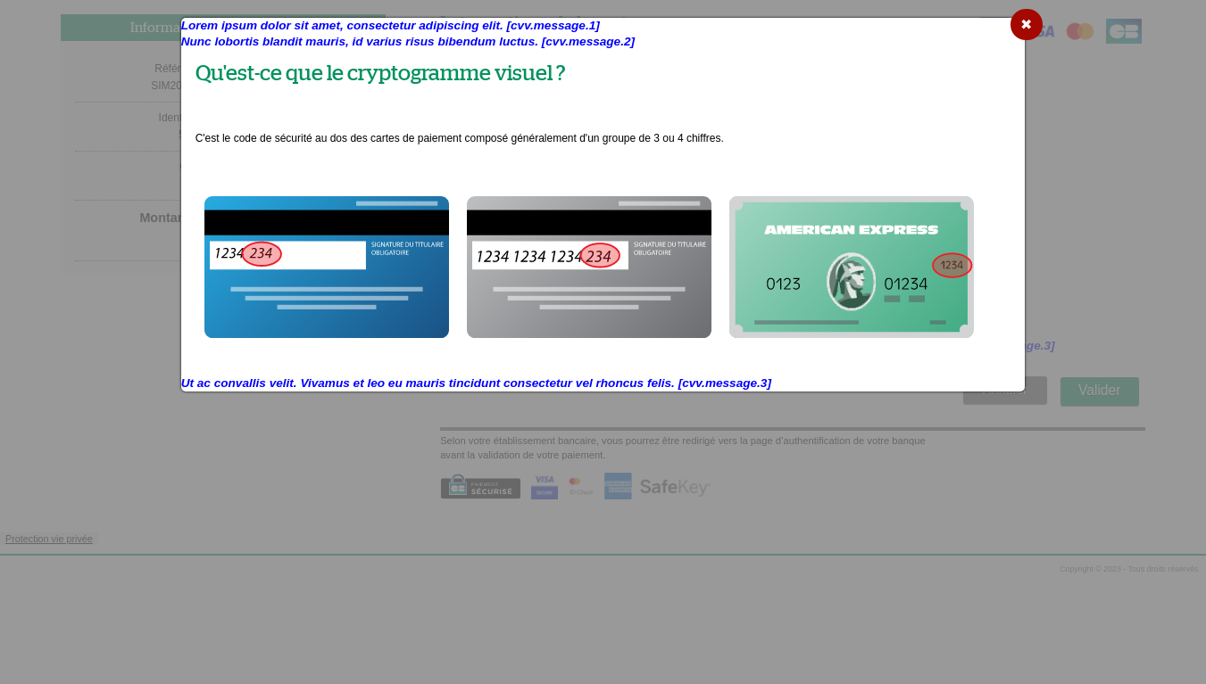 Page d'aide à la saisie du cryptogramme visuel indiquant l'emplacement des messages personnalisables 